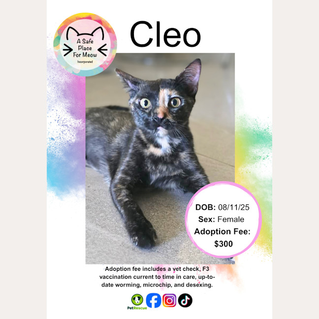 Photo of Cleo