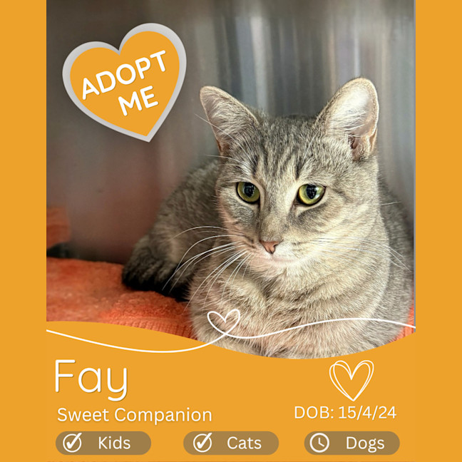 Photo of Fay