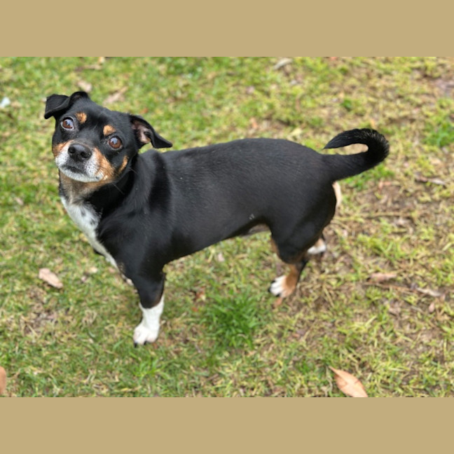 Photo of Mako & Buddy 