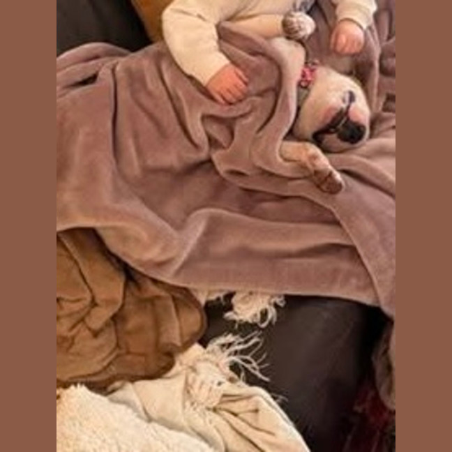 Photo of Heidi