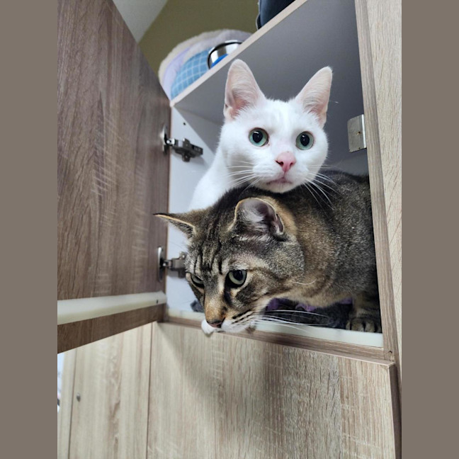 Photo of 🫶 Rudy 6712 🫶