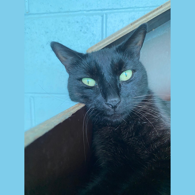 Photo of Hermes