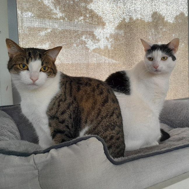 Photo of Mandy & Molly