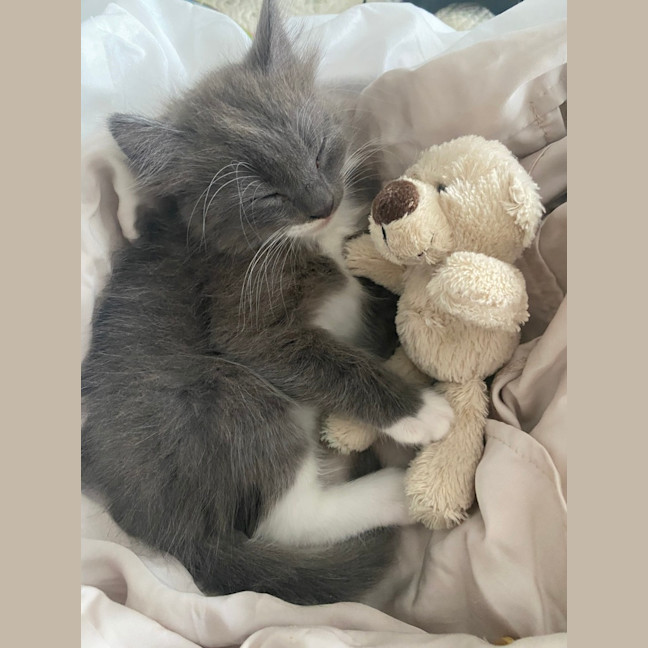 Photo of Erky