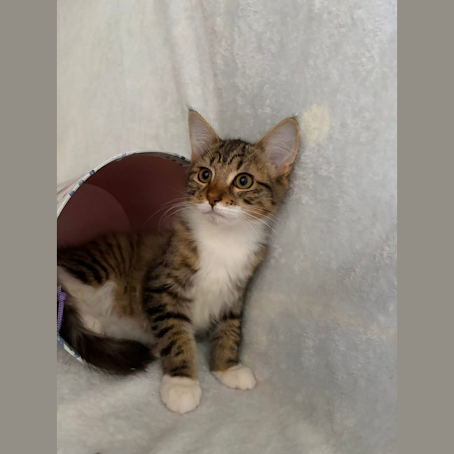 Photo of Evie