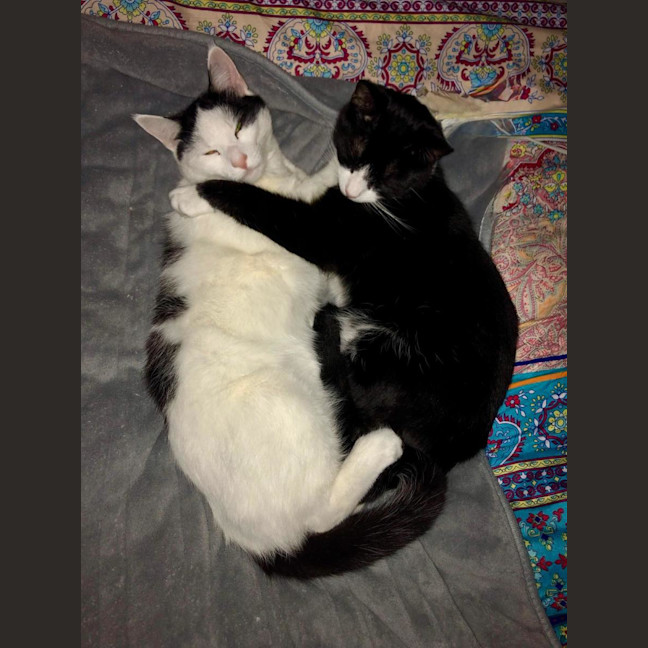 Photo of Jake & Jasper 💙