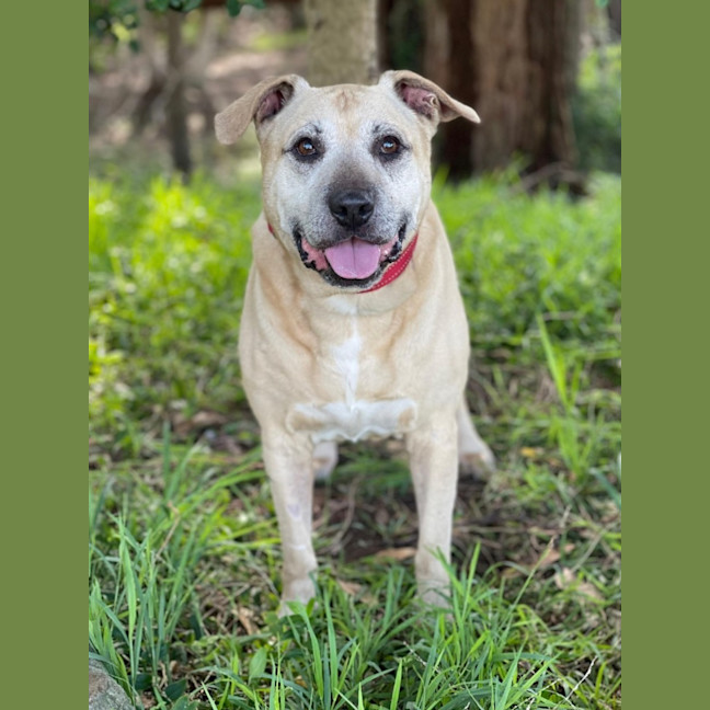 Photo of Jax