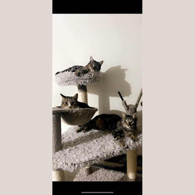 Photo of Maisie And Luna 