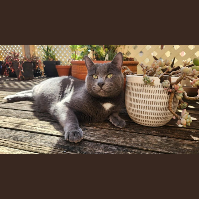 Photo of Smokey! 