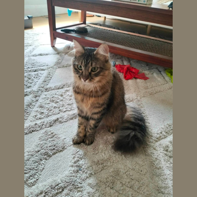 Photo of Polly Sasha