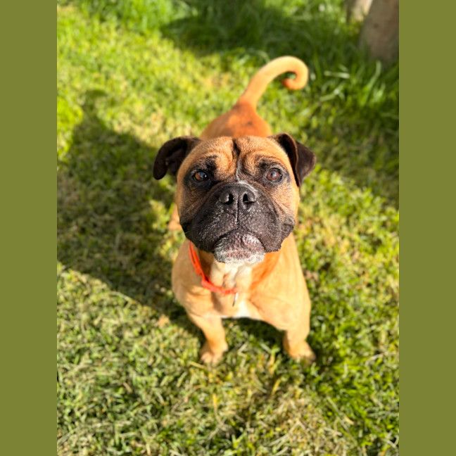 Photo of Leroy