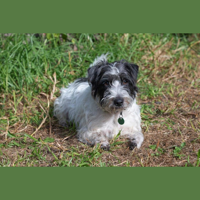 Photo of Bean And Dunkin Russelton