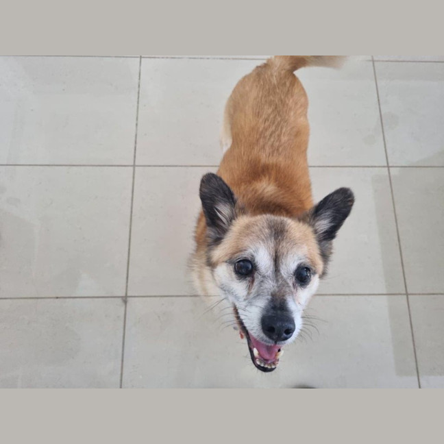 Photo of Leo O’cleary