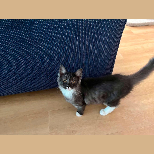 Photo of Zeek 