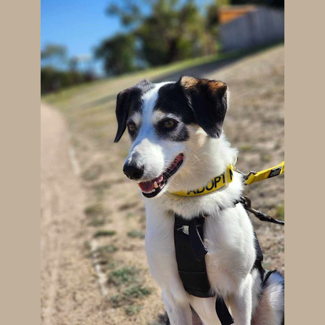 Photo of 🦋 Coco 6047 🦋