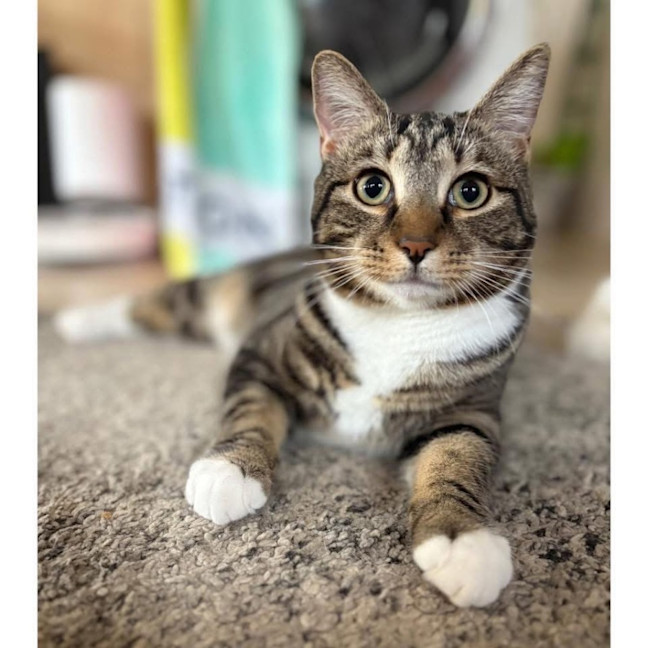 Photo of 12433   Parker