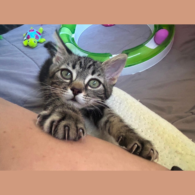 Photo of Horizon Aka "Have A Chat"