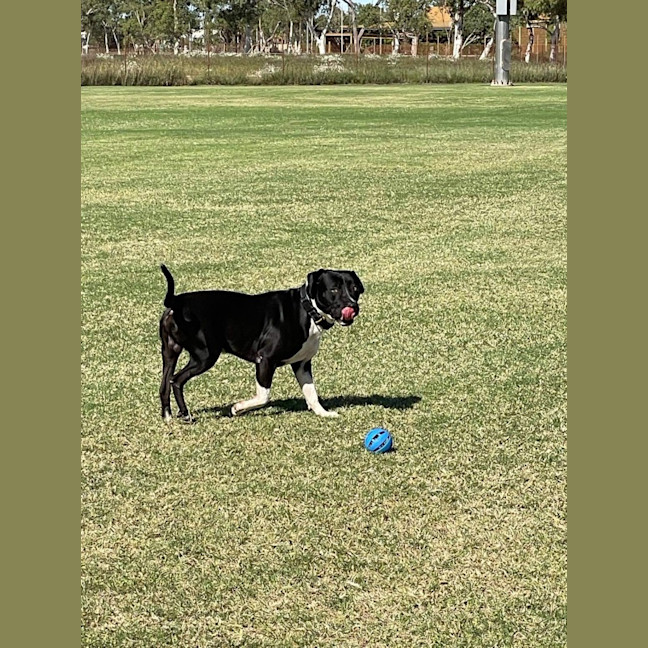 Photo of Kevin