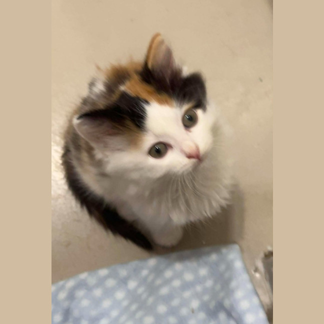 Photo of Rosie Mae