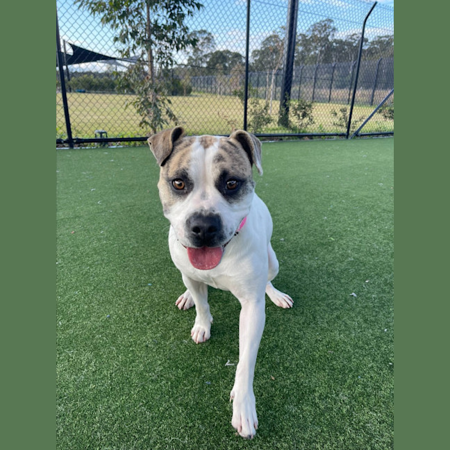 Photo of Jenny Imp 1455