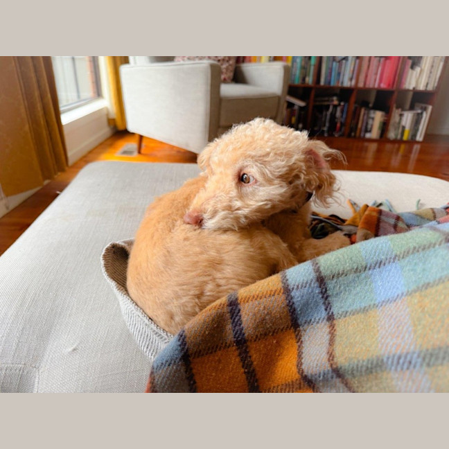 Photo of Alexander Silvanus