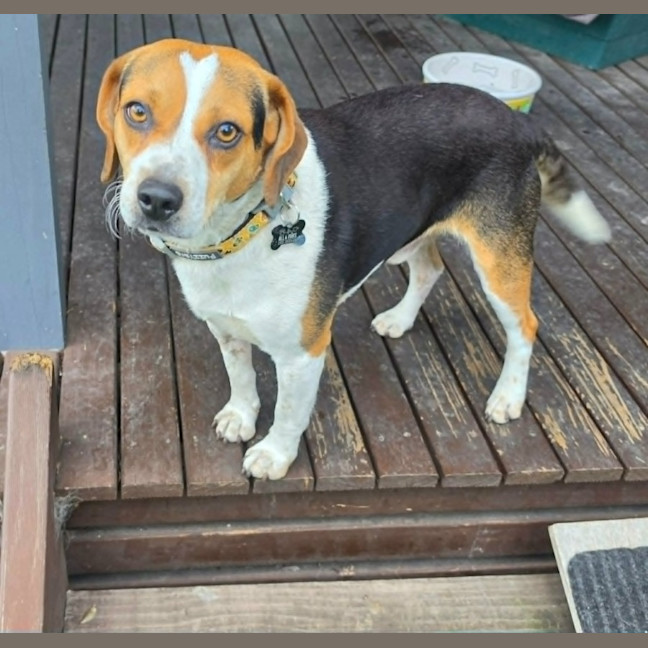 Photo of Burnie