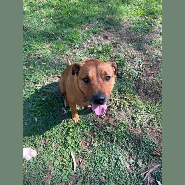 Photo of Thunderstruck