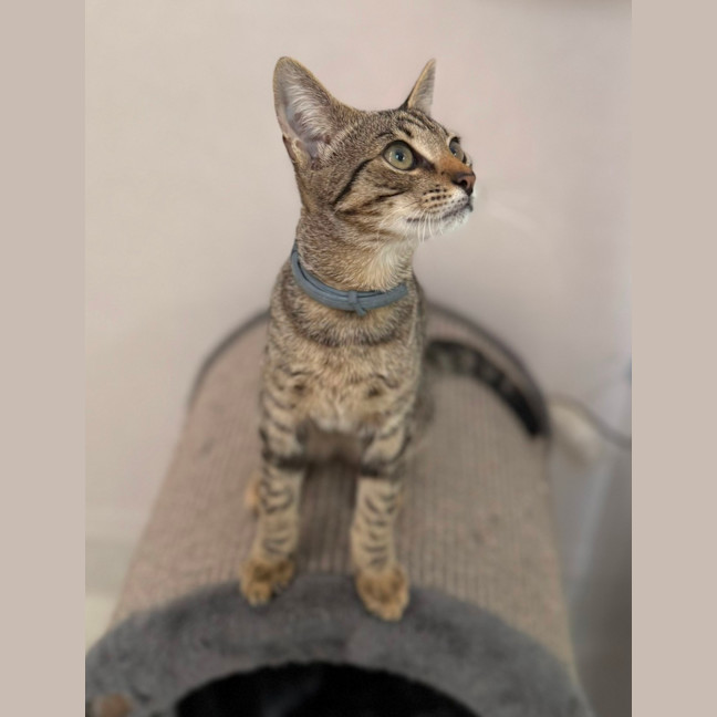 Photo of Wally (8983)