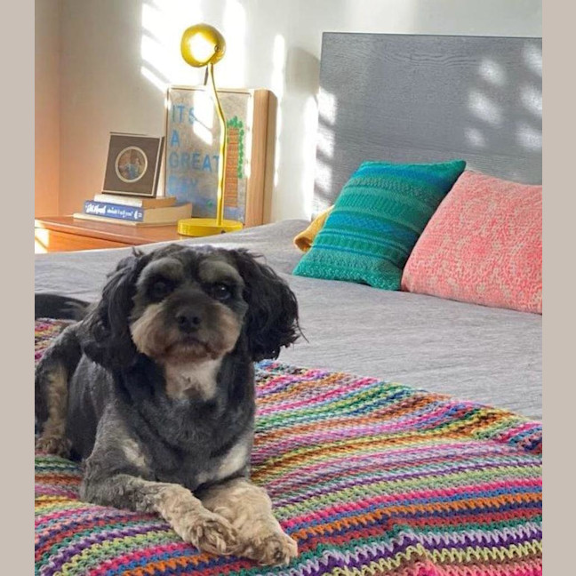 Photo of Roy Valenti