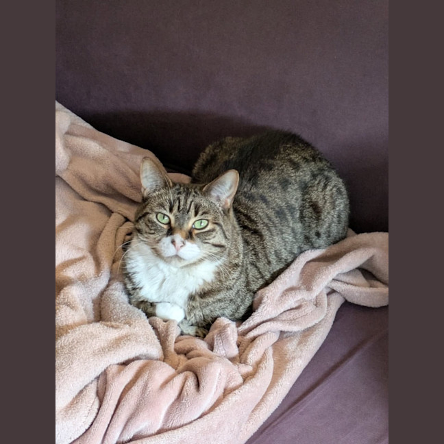 Photo of Benny