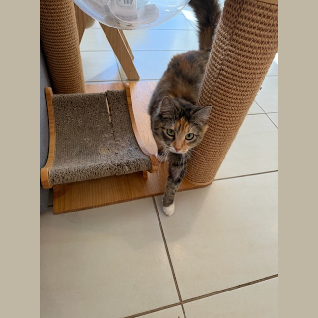 Photo of Millie
