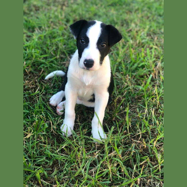Photo of Rylee
