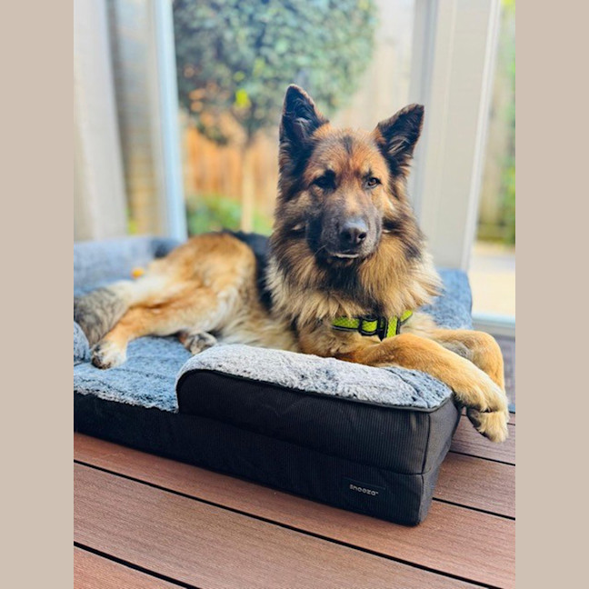 Photo of Duke