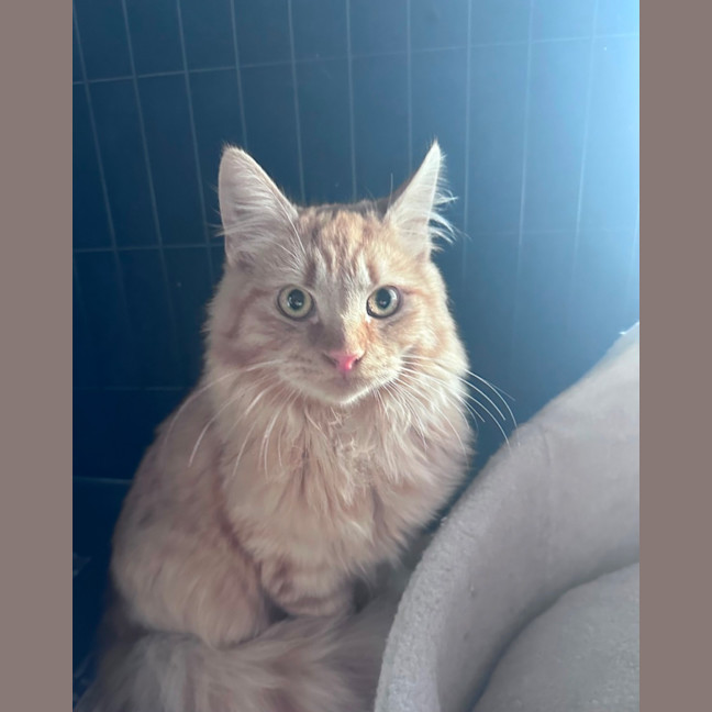 Photo of Ed