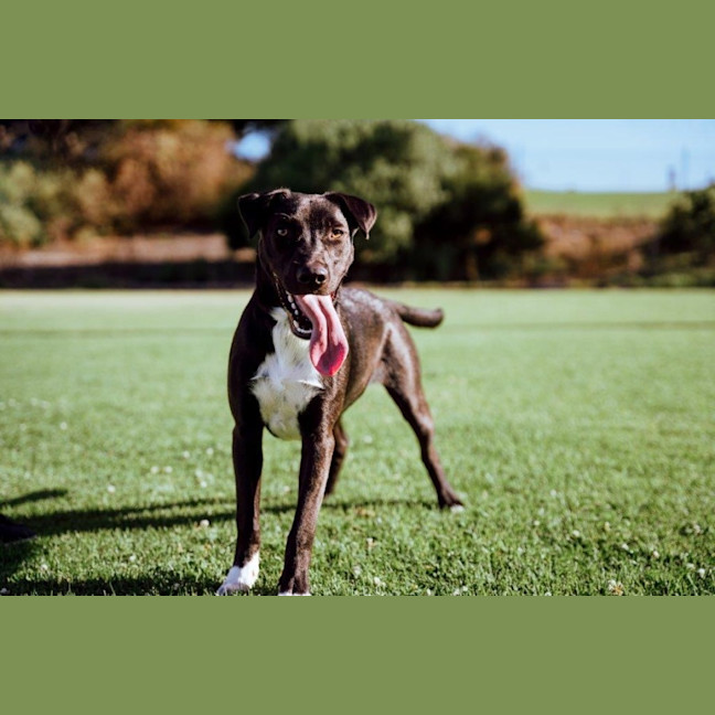 Photo of Toby Kumara