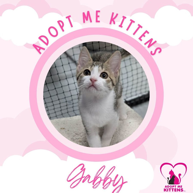 Photo of Gabby