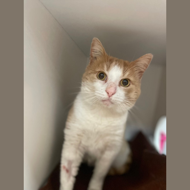 Photo of Thomas O’malley 