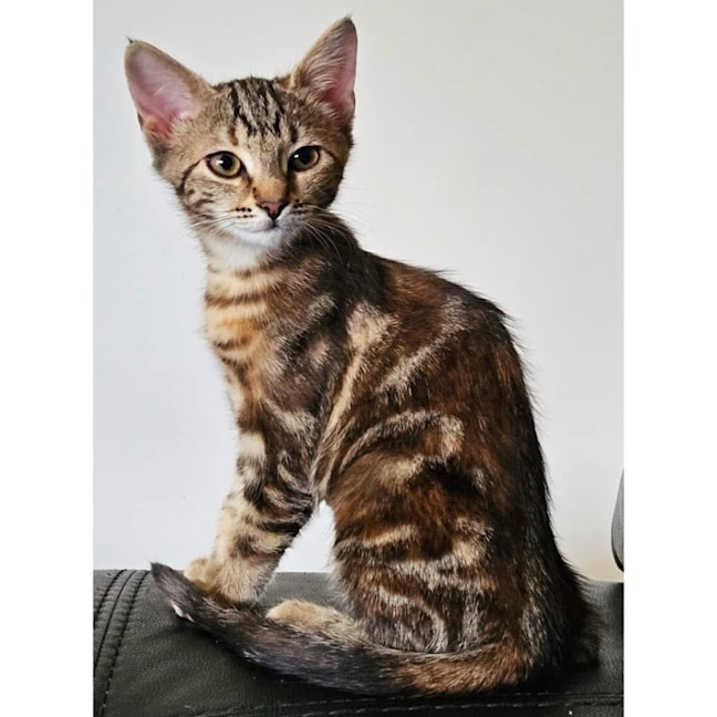 Photo of 11655   Quincy