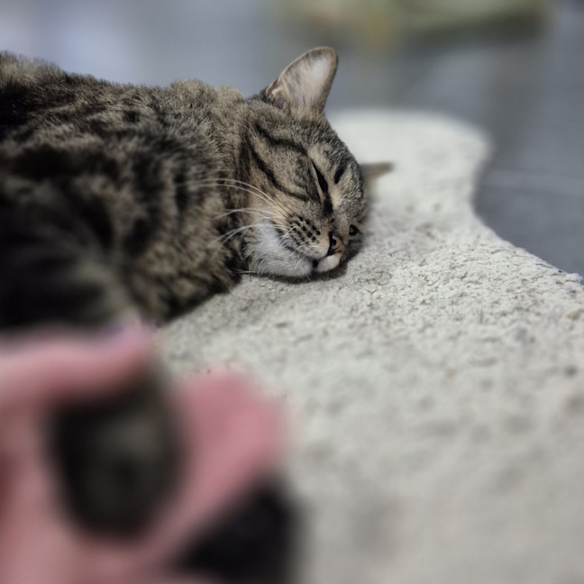 Photo of Tom