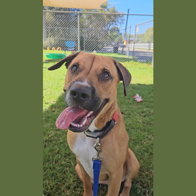 Photo of Taco