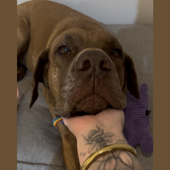 Photo of Hazel
