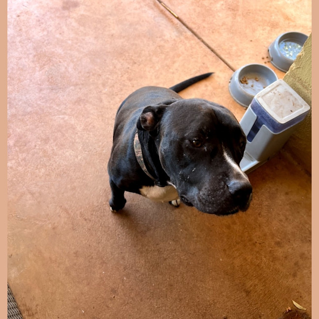 Photo of Oodie (Muggsy)