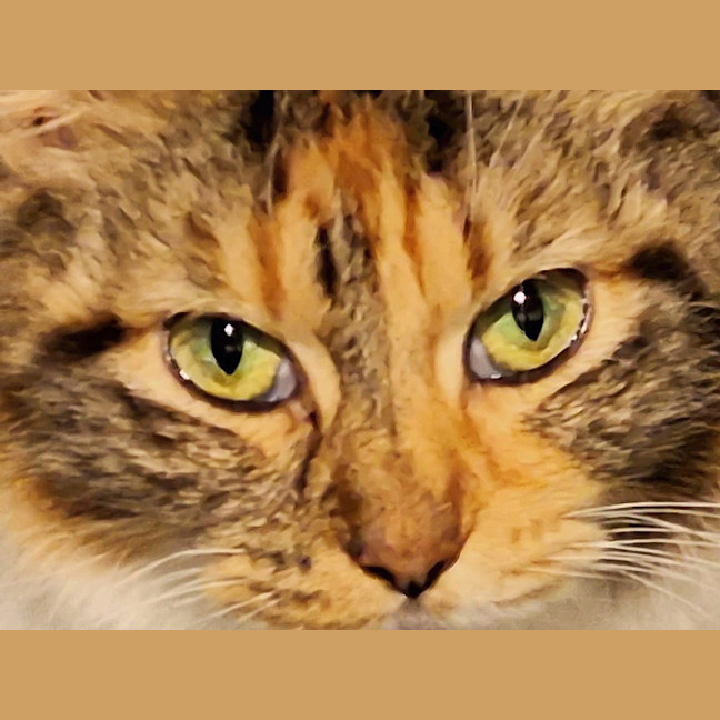 Photo of Miss Molly 