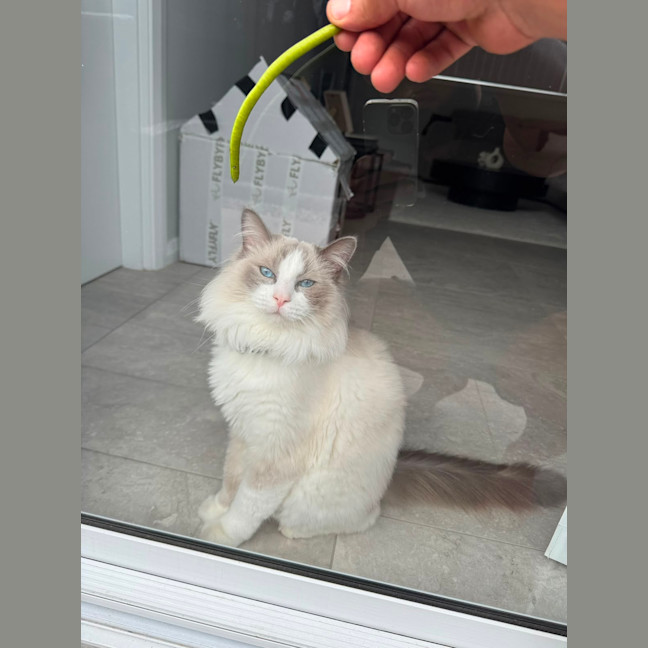 Photo of Bibble