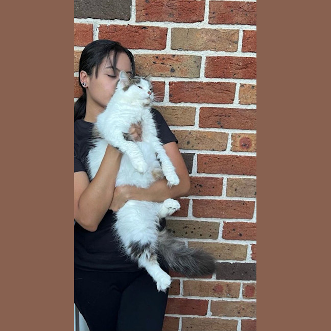 Photo of Luna