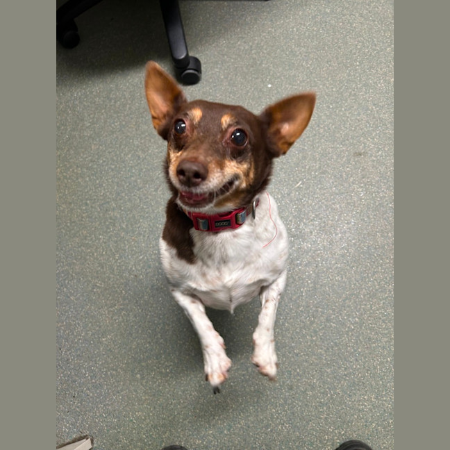 Photo of Buggerluggs