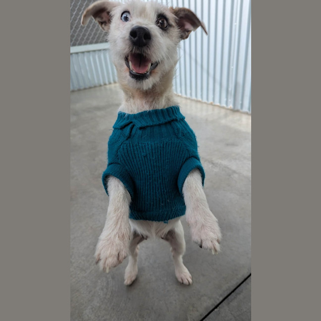 Photo of Roxy