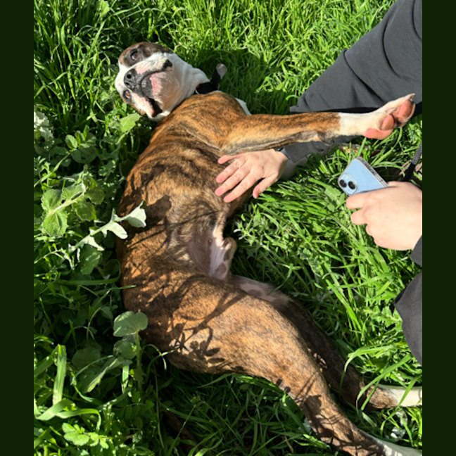 Photo of Tank