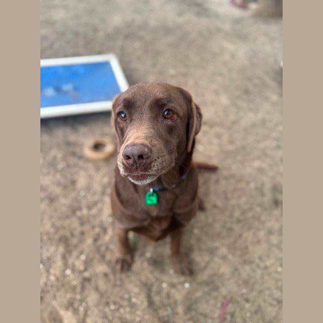 Photo of Dora