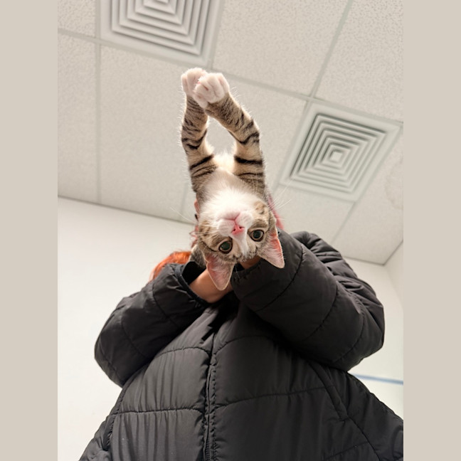 Photo of Frieren (Was Jovie)